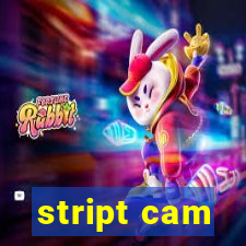 stript cam